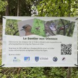 Un sentier à découvrir jusqu'au 1er décembre